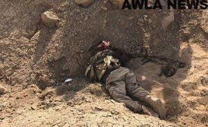 22093362 1578482415553418 535118267 n