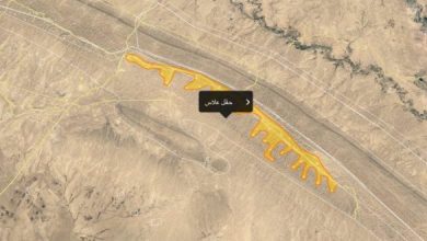 22156771 278795365946055 514997260 n 620x330