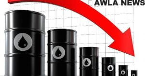 NB 215995 636413059592723149 1