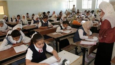 NB 216560 636417613214631616