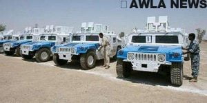 NB 216952 636420885791897124