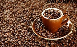 manar 02535820015067666296