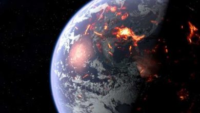 manar 08221010015066797744