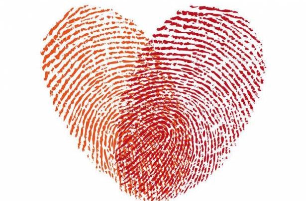 manar 09135380015066025271