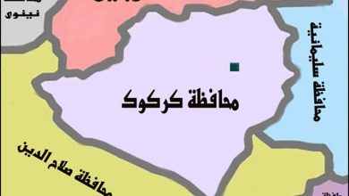 10201621222349901359515