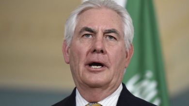 1216102017 D3138E89fsgfgsdgdfgs 3403 4D7D 8A9D 4C6E447B7C48 cx0 cy4 cw0 w1023 r1 s Copy