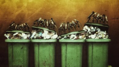 21994023 1923560597897603 4972547095691524421 o 1