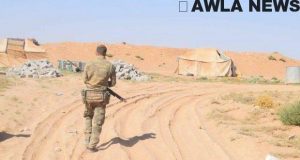 22330781 1588994637835529 33307238 n