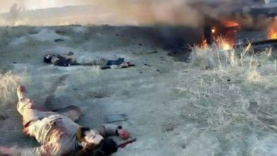 25966BDB 2B8B 474E 9874 35F4E7906862 232 00000027EB3D3BC7 1 620x330