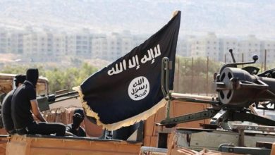 3C7BF535 5EDF 403D 8031 788794D9BD5C