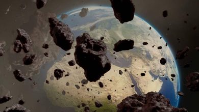 Doc P 122009 636430680059075130