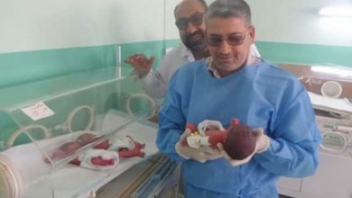 F6723E6B F241 4119 BA07 79407A2B2B70 620x330