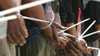 NB 211316 636369265365348709