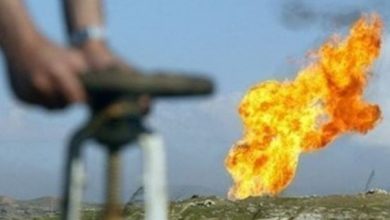 NB 217436 636425234156803351