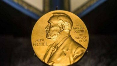 NB 217510 636425564336376011