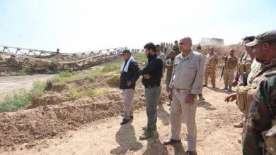 NB 217615 636426359275802336