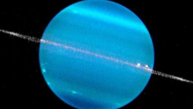 NB 217672 636426993157216241