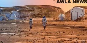 NB 217827 636428205780878196