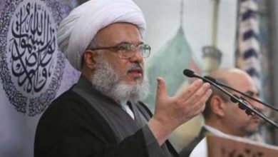 NB 217864 636428804935494006