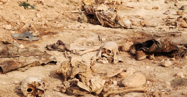 NB 217911 636429506966889069