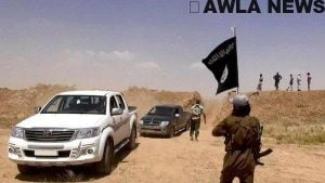 NB 218097 636431305871281225