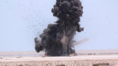 NB 218308 636433054167553524