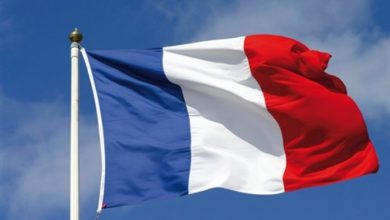 elbashayer image 1504616523