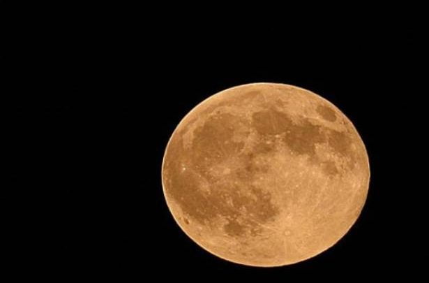 manar 00630790015071896631