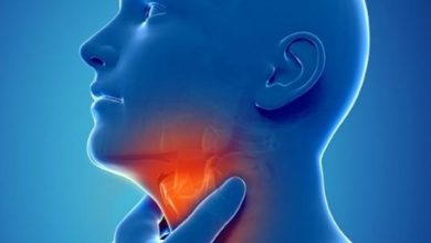 manar 00728560015067527943 2