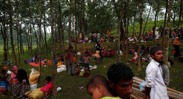 manar 02597520015047602581