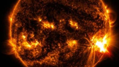 manar 04271730015077018786