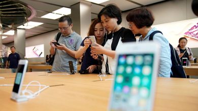 manar 06267530015067574295