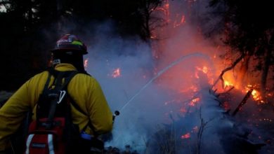 story img 59e2ec523f945