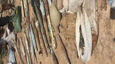 303AF22D 79BA 443C A09E B1824559E807