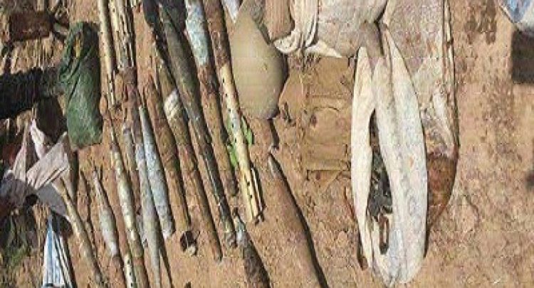 303AF22D 79BA 443C A09E B1824559E807