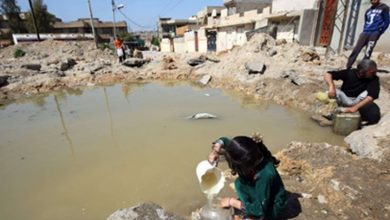 520171552842847955133