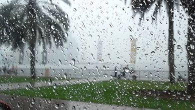 توقعات باستمرار الأجواء الممطرة خلال اليومين المقبلين 6 8547AD23 EF5B 4467 A787 F72400AA8B8F