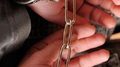 C03F70F9 D7B4 4CC8 B706 247121E1C07D