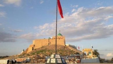 CE1E5877 CB8F 41CD ACB8 EFD4C41E13C2