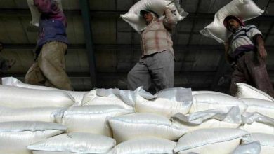 D8F3BA53 FCC5 46CD B7AE 5EFB028EC926