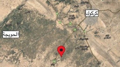 NB 204820 636311402681202982