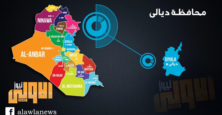 احتواء ملف انفلونزا الطيور في مشاريع الدواجن بناحية جديدة الشط في ديالى 1 diyala preview 9