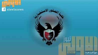 خلية الصقور الاستخباراتية preview