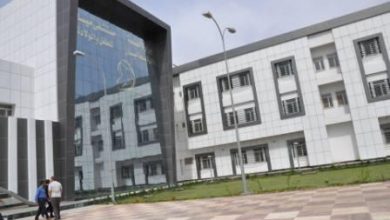 وصول وفد طبي مصري متخصص الى ميسان 2 679080