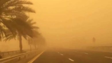 8903C676 4489 4792 8F29 F097CCA9EDF2