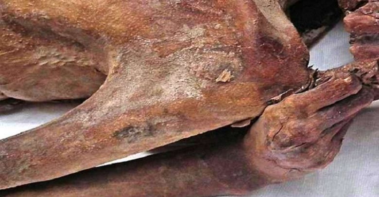 F61E3F13 F919 4FDB 8535 71DB5B241F4E