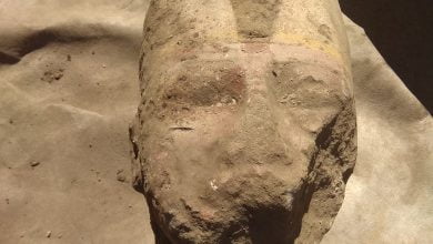 FCC501B4 1C14 4714 81D2 1B01427637C8