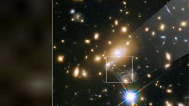 اكتشاف أبعد نجم تم رصده حتى الآن..ويقع في منتصف الكون 4 7342018 CaVBpture