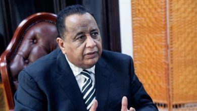 ابراهيم الغندور