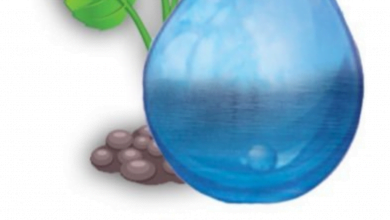 الأمانة العامة لمجلس الوزراء تناقش اليات رفع الوعي المجتمعي لترشيد استهلاك المياه 8 قطرتنا امانة